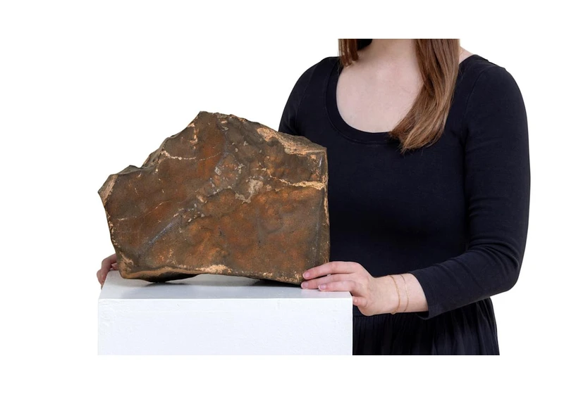 Someone paid $5.3 million for a piece of Mars