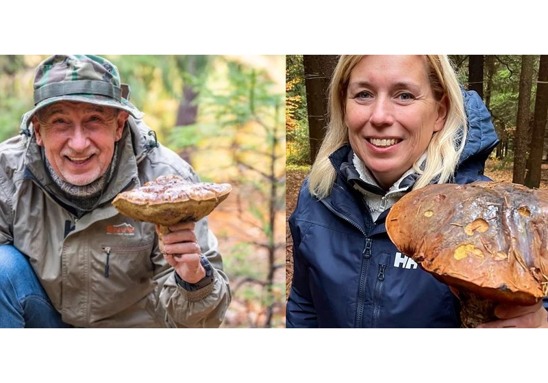 Volby v síti: Nerudová předběhla na Instagramu Andreje Babiše. Nejvíce peněz ale stále utrácí Karel Janeček