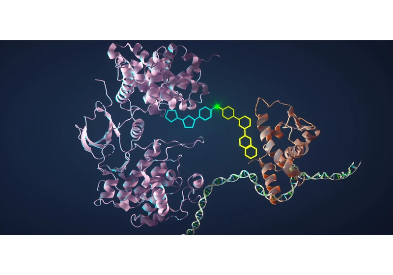 Scientists glue two proteins together, driving cancer cells to self-destruct