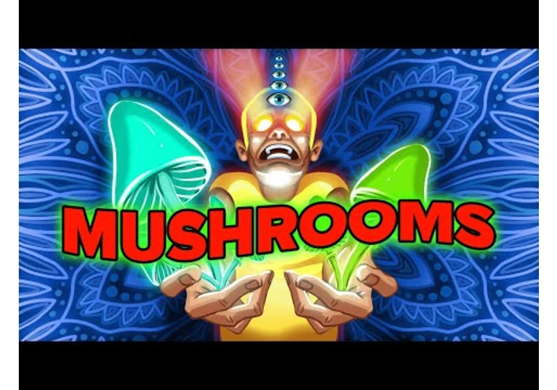 What Happens to Your Body When You Take Mushrooms