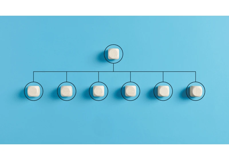 Where is SEO in the business hierarchy?