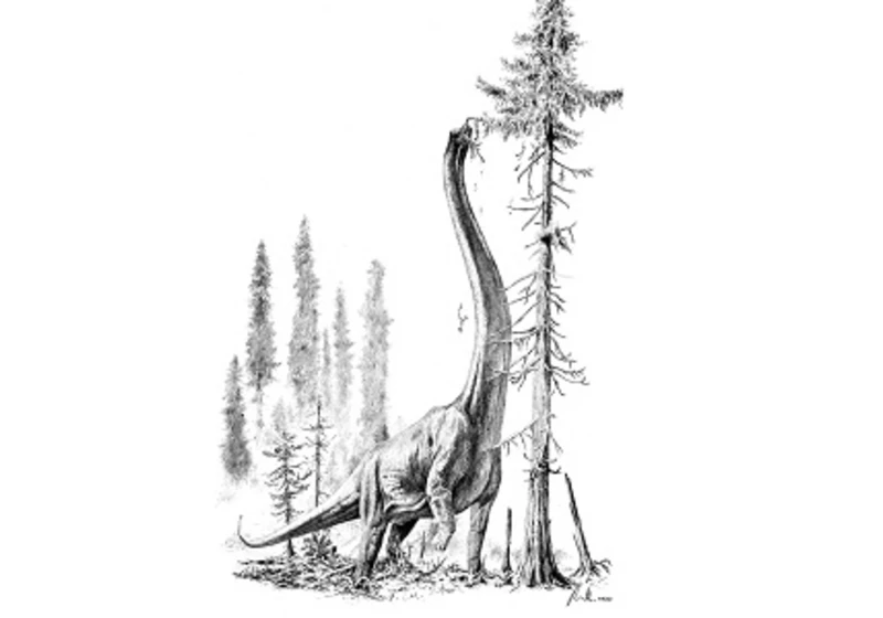 Brachiosaurus se na zadní nestavěl