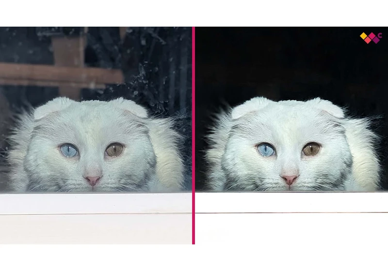 I just discovered Photoshop's hidden new tool that removes distractions in seconds — It saves me sooo much editing time