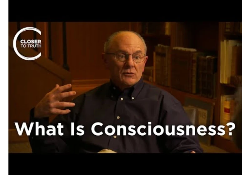 Warren Brown - What Is Consciousness?