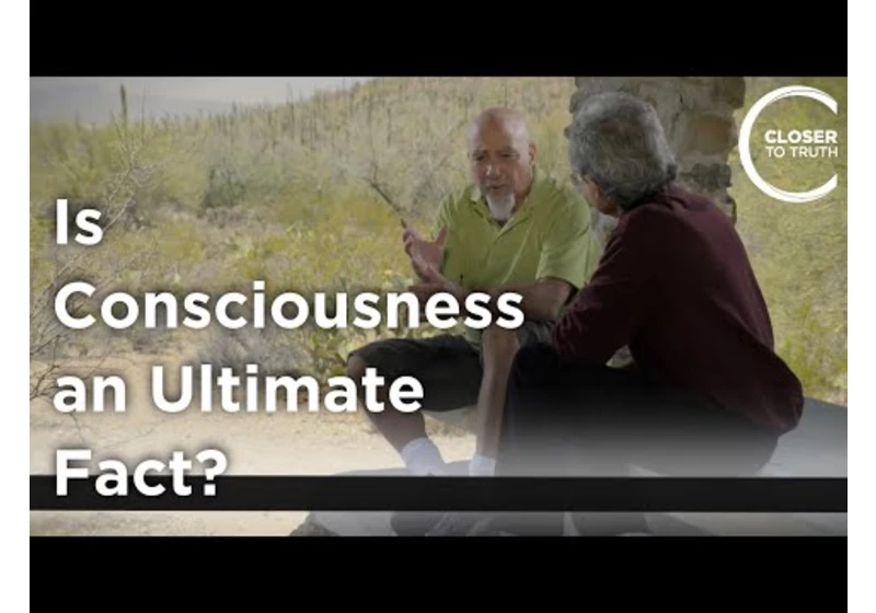 Stuart Hameroff - Is Consciousness an Ultimate Fact?