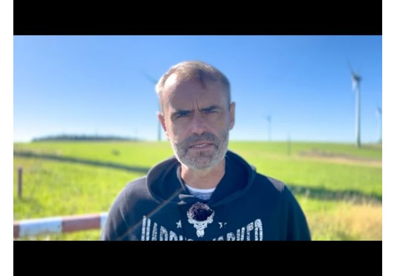 V Česku se vyplatí krást a podvádět