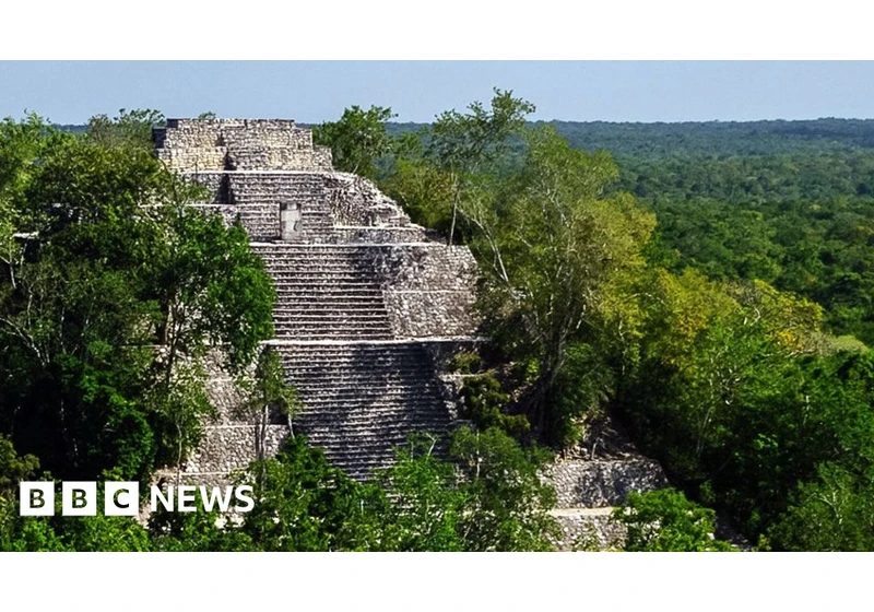 PhD student finds lost city in Mexico jungle