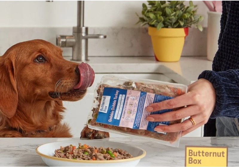 Butternut Box, a UK and European fresh dog food brand, raises €34.1 million