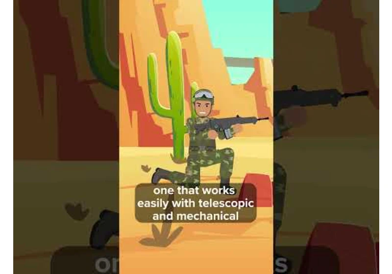 What Weapons Does the Mexican Military Use Against the Cartels #cartels