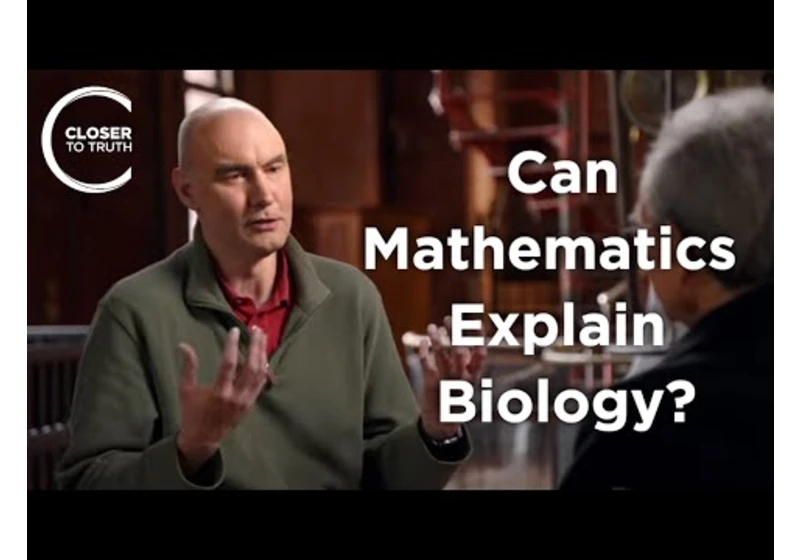 Martin Nowak - Can Mathematics Explain Biology?