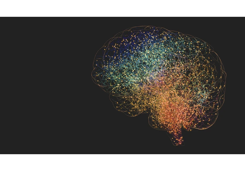 Can adults grow new brain cells?