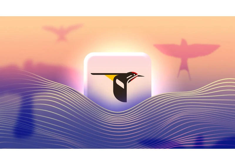 This Bird ID App Has Helped Me Practice Mindfulness More Than Any Meditation App