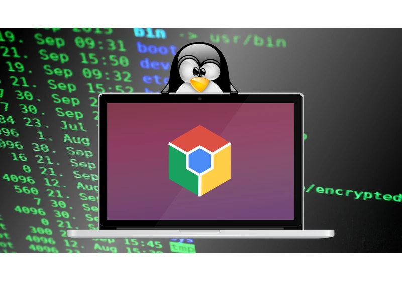  How to Run a Linux OS on your Chromebook 