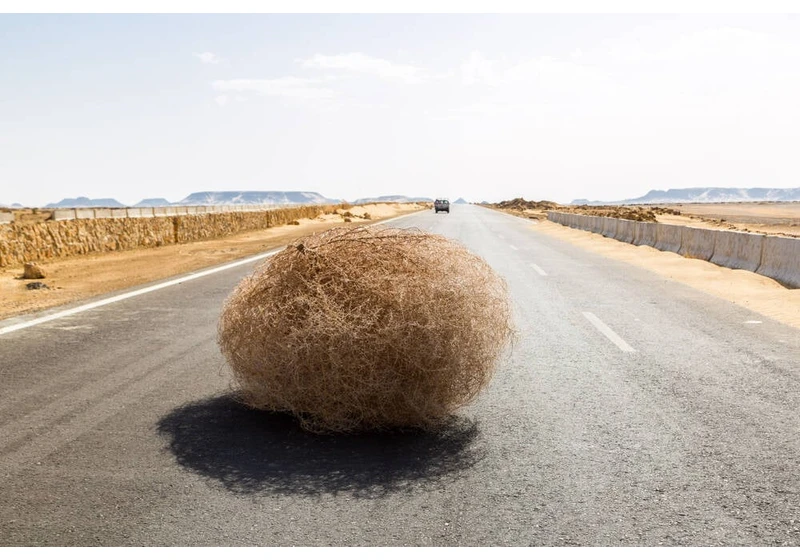 The AIpocalypse is here for web sites as search referrals plunge