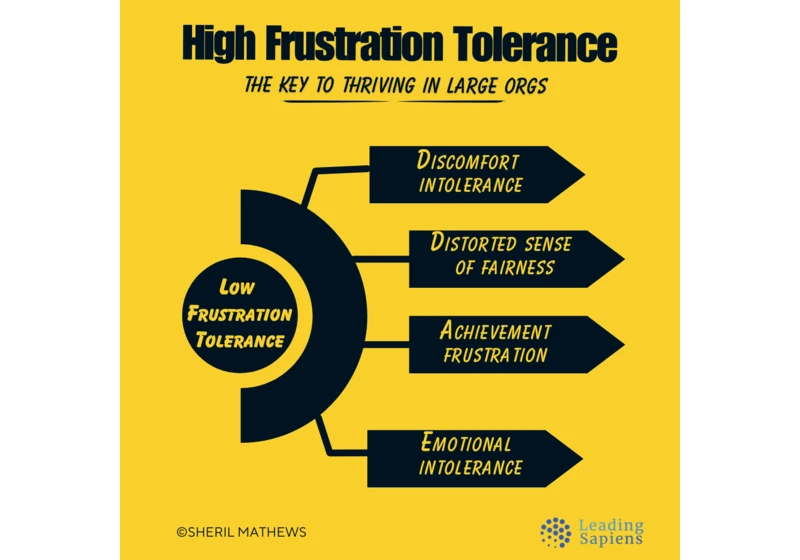 Frustration Tolerance: An Essential for Surviving Large Orgs