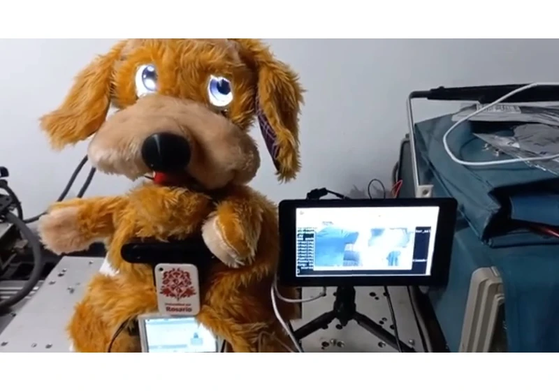 Raspberry Pi Robotic Dog Teaches Spanish To Deaf Children