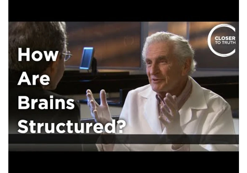 Arnold Scheibel - How Are Brains Structured?