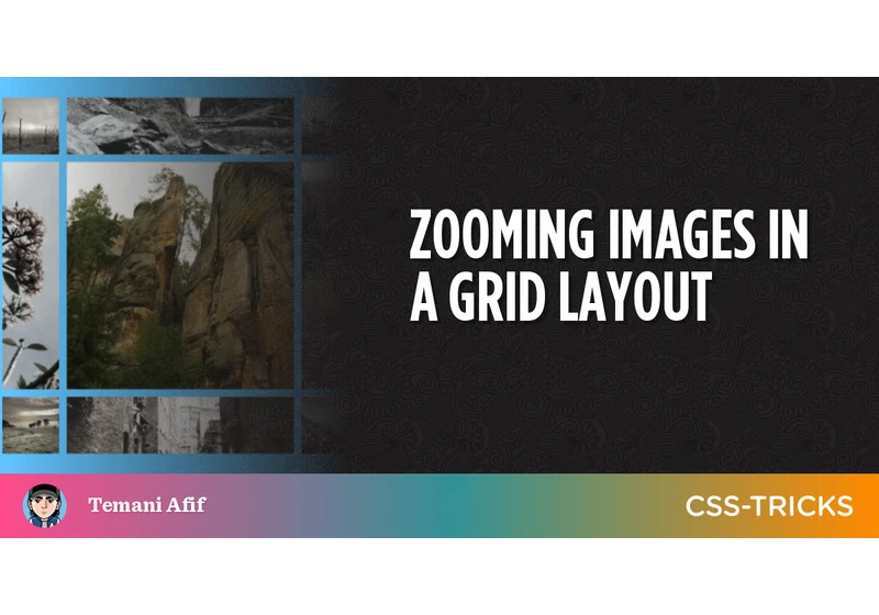 Zooming Images in a Grid Layout