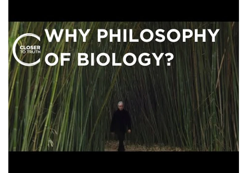Why Philosophy of Biology?  | Episode 2301 | Closer To Truth