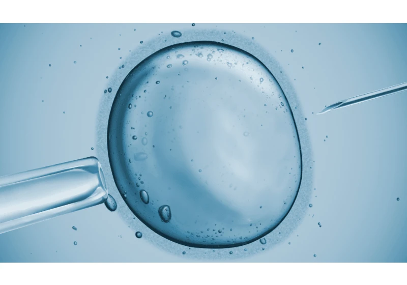What the U.S. can teach European startups about widening access to fertility treatment