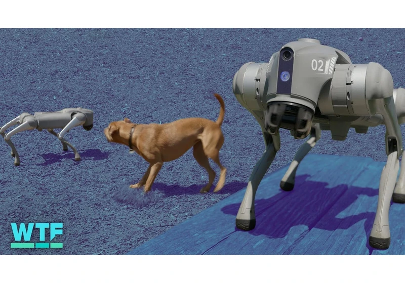 24 Hours with Unitree's Go2 Pro Robot Dog video