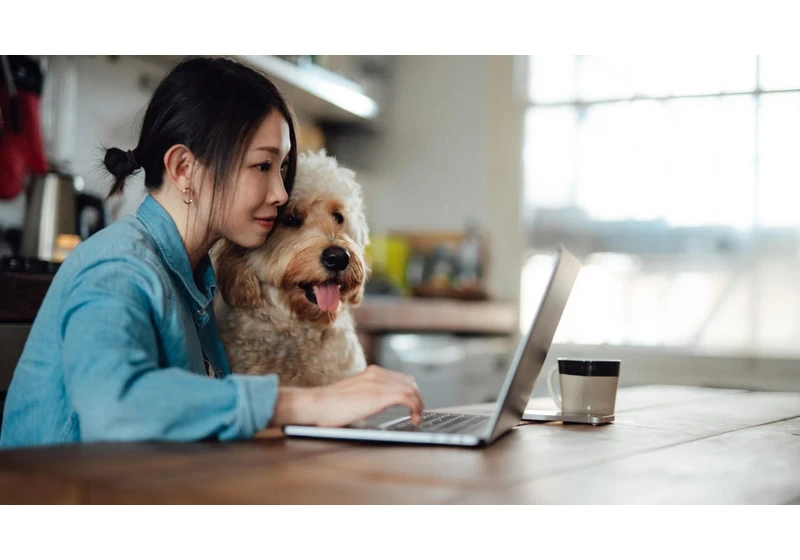 6 Pet Tech Answers for Common Pet Parent Problems