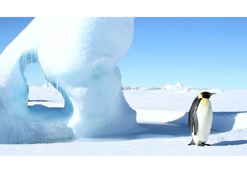 Co se chystá pro Linux 5.15, část druhá: nové platformy i rychlejší řešení OOM