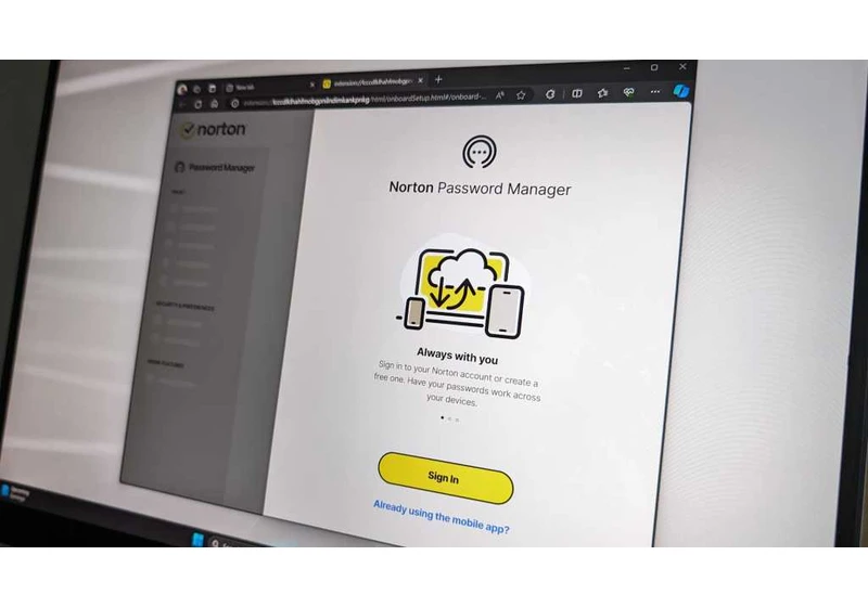 Do you really need a password manager as part of your antivirus software?