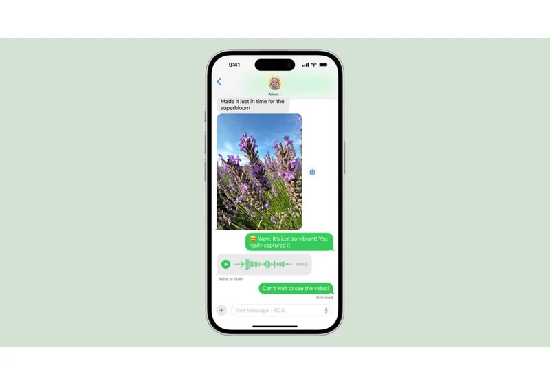 Here's every Messages feature that iOS 18 adds to your green bubble Android texts