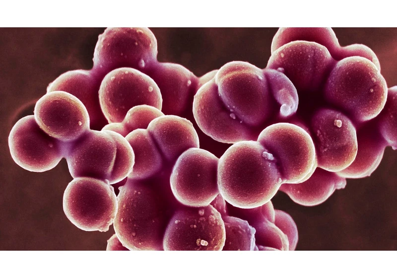Generative AI Gave MIT Scientists a New Tool to Fight Antibiotic-Resistant Bacteria