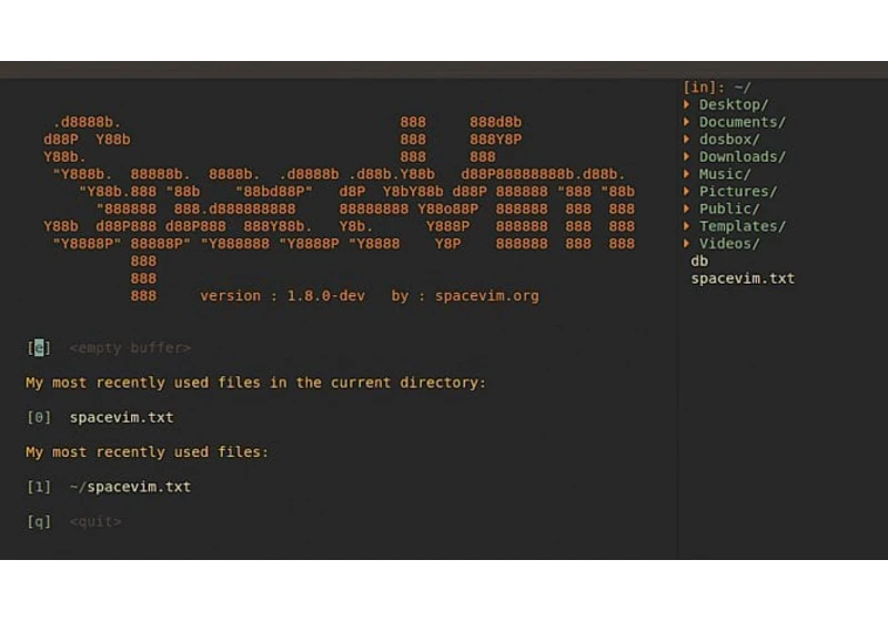 Projekt SpaceVim – moderní distribuce Vimu inspirovaná Spacemacsem
