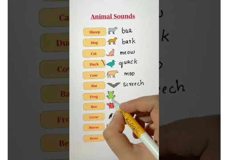 Animal Sounds