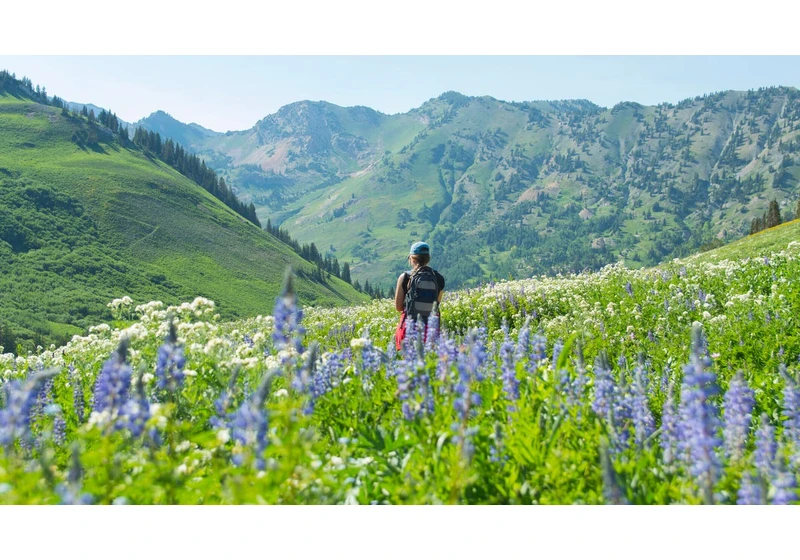 How to Use ChatGPT to Find Hidden Hiking Trails