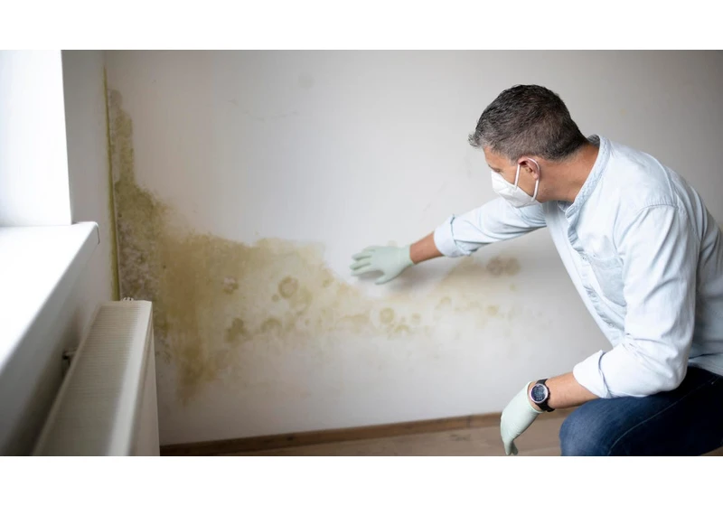An Expert Shares the 7 Most Common Places Mold Is Hiding in Your Home