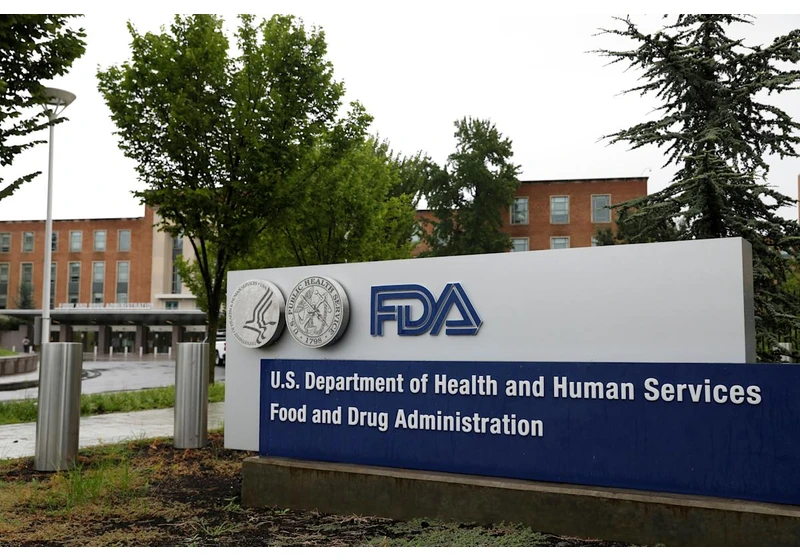 FDA employees say the agency's Elsa generative AI hallucinates entire studies