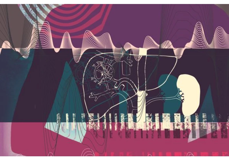 Doctors Could Hack the Nervous System with Ultrasound