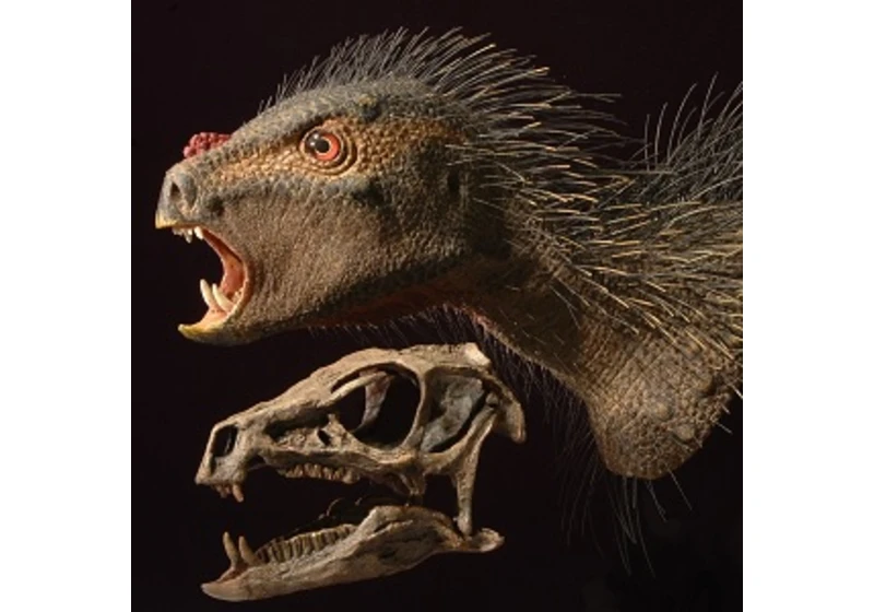 Záhada vzniku ptakopánvých dinosaurů