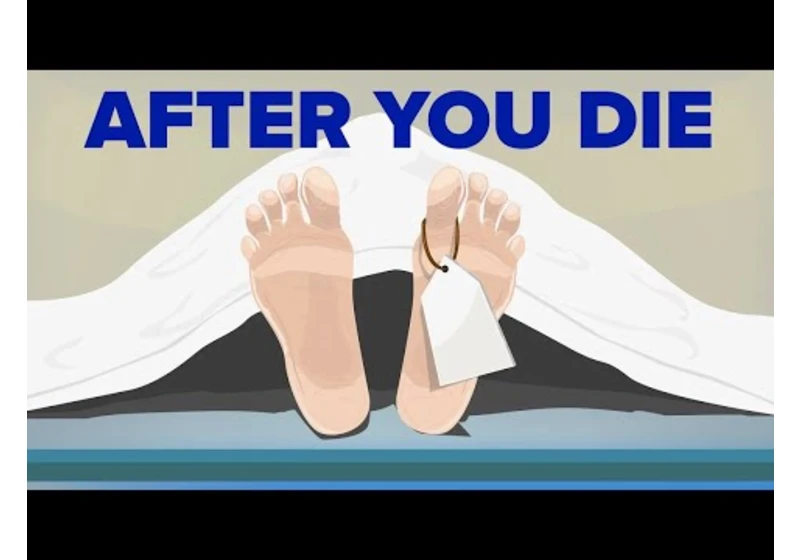 What Happens After You Die (Compilation)