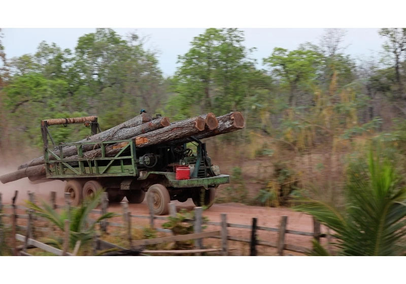 Illegally logged wood from Cambodia likely ending up in U.S. homes