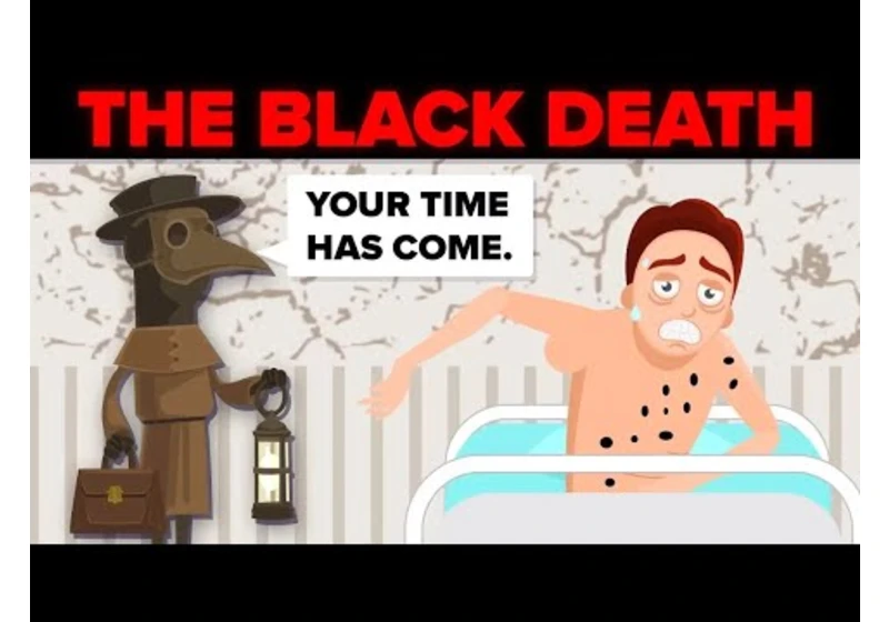 Could the Black Death (The Plague) Happen Again? And More Interesting Questions *4 Hour Marathon*