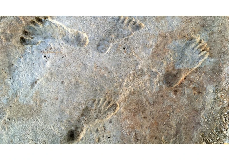New dating for White Sands footprints confirms controversial theory
