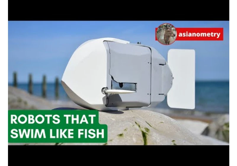 The Robots That Swim Like Fish