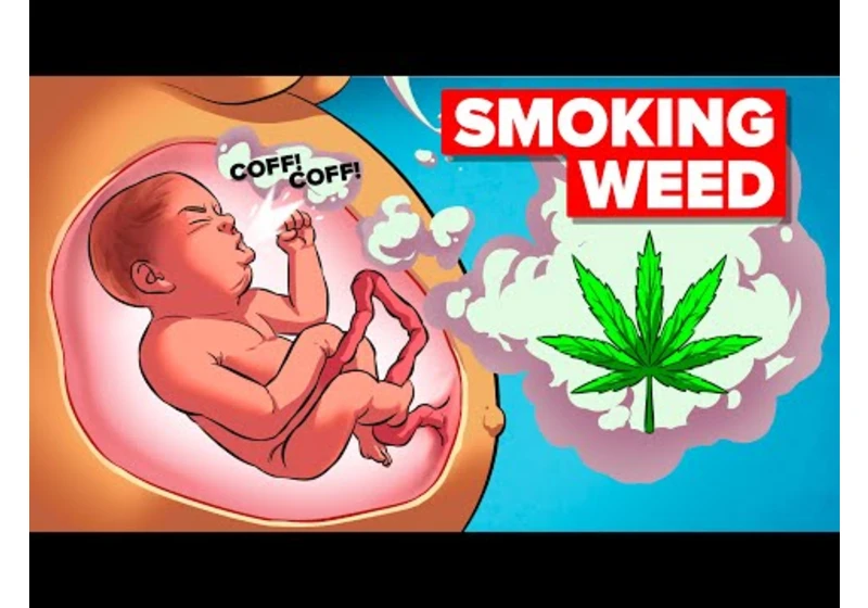 Why Smoking Weed is Actually Bad/Good For You