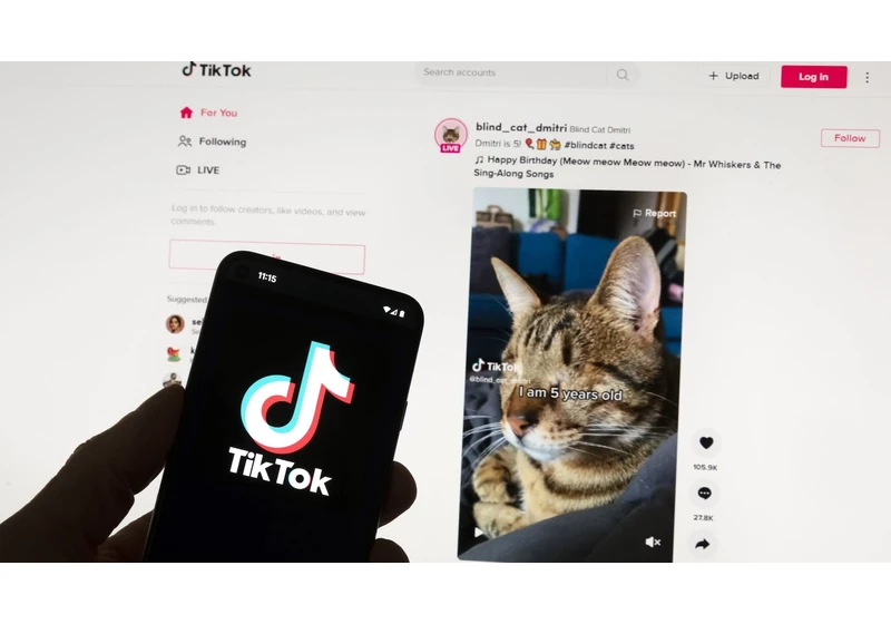 EU questions TikTok’s new app that pays users to watch videos