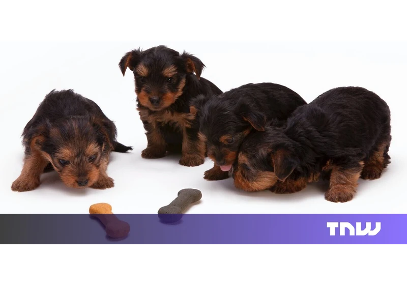 Your pets can now eat meat that’s ‘grown’ in a lab