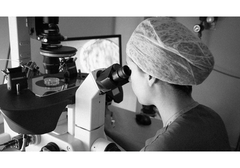 Alabama’s IVF ruling is the latest challenge for women’s health-tech startups in the post-‘Roe’ era