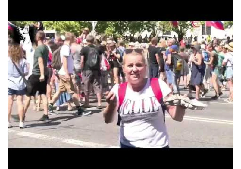 Československo hľádá dezoláta - Dagmarine vajcia