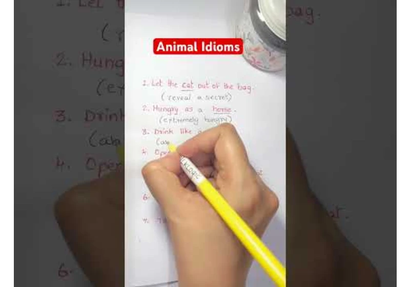 Animal Idioms