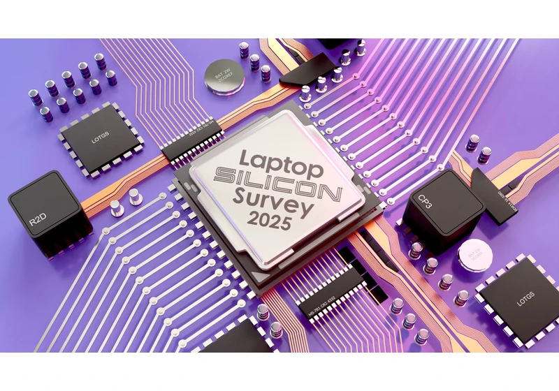 Silicon Survey 2025