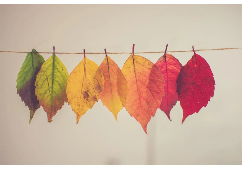 Understanding Flutter State Management (Part 1)⌛🤓